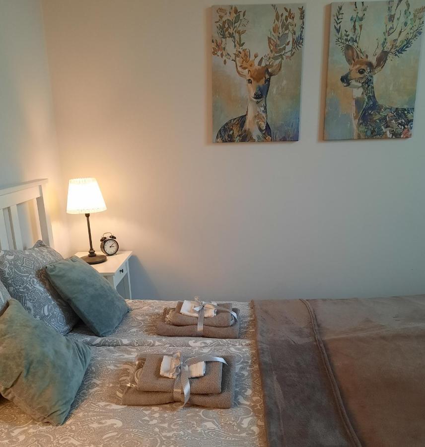Apartamenty Bydgostia Μπίντγκοστς Εξωτερικό φωτογραφία